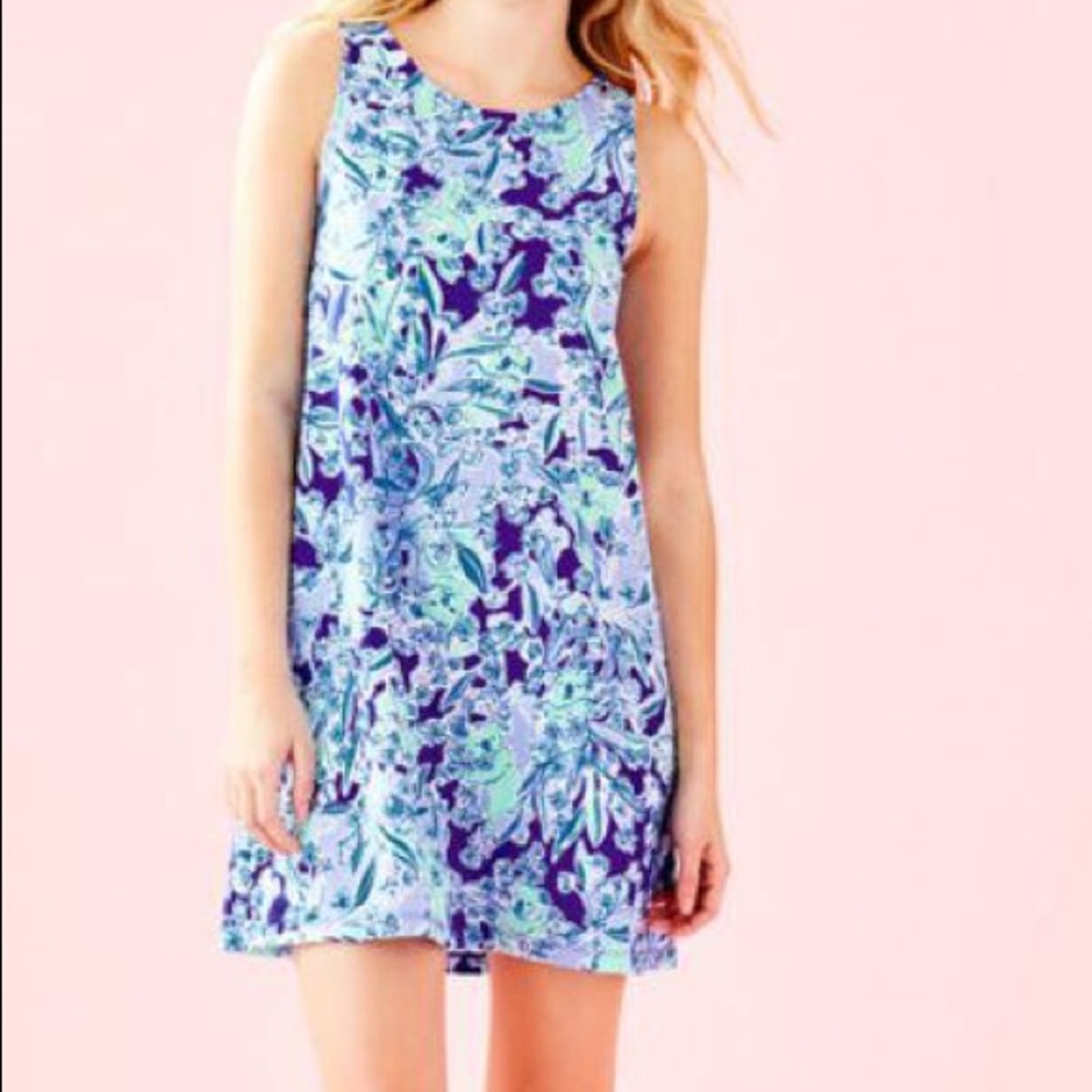 Kristen Swing Dress NWOT